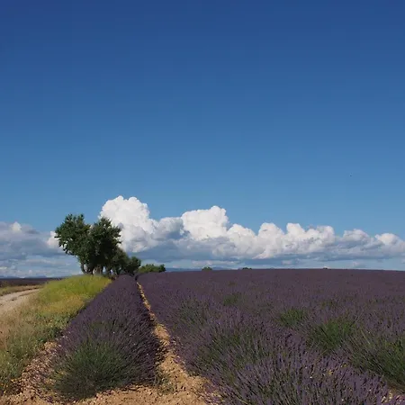 Heure Bleue *