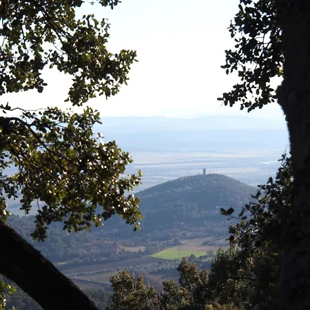 Heure Bleue * Manosque