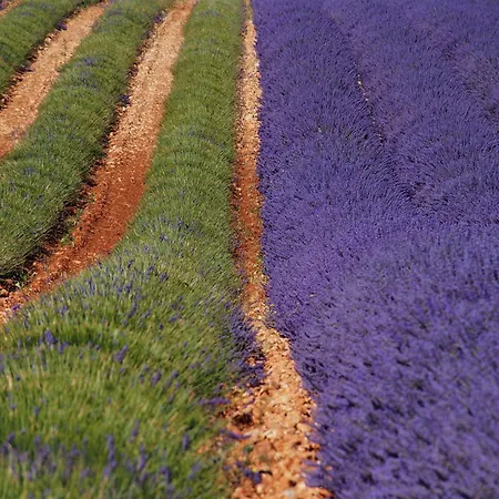 Heure Bleue Διαμέρισμα Μανόσκ