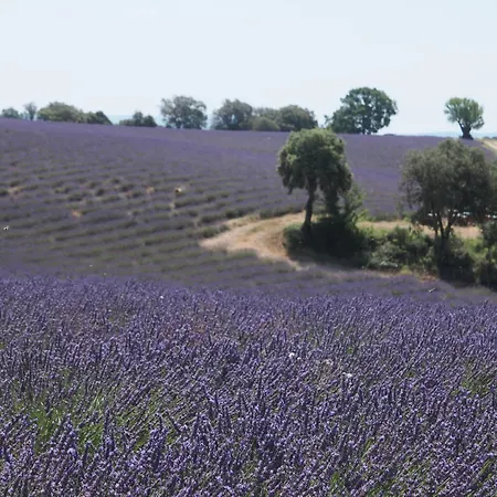 Heure Bleue *