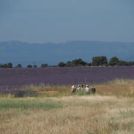 Heure Bleue Manosque